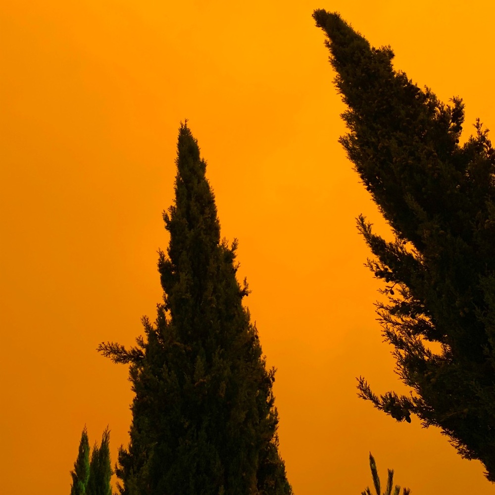 Meet your Posher, Edna